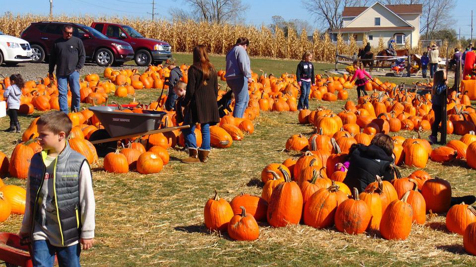 Nashville Pumpkin Patches and Fall Festivals