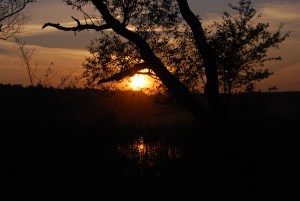 “Can I Call You Jessi?”