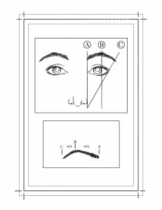 eyebrow-guide