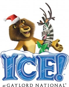 madagascar-christmas