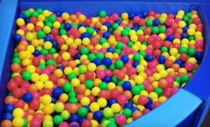 The-Monkeys-Treehouse