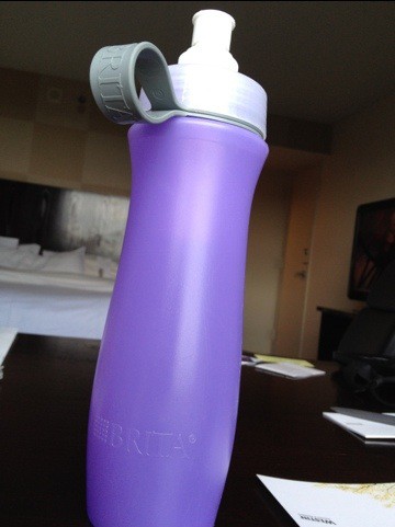 Travel Essentials for a 24 hour Business Trip