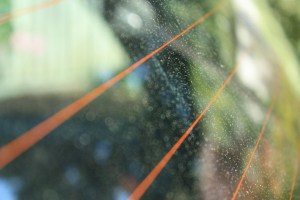 I NEED you to do this, Lord