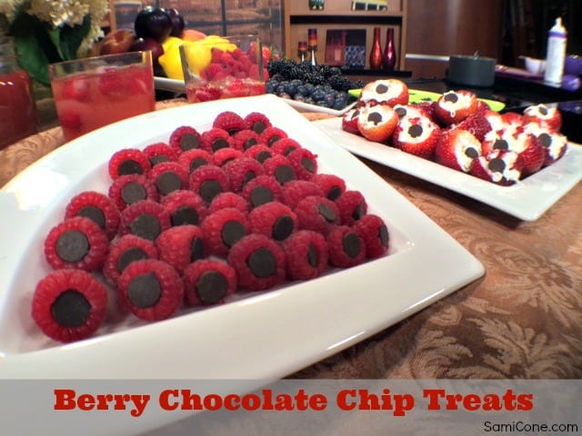 berry chocolate chip treats