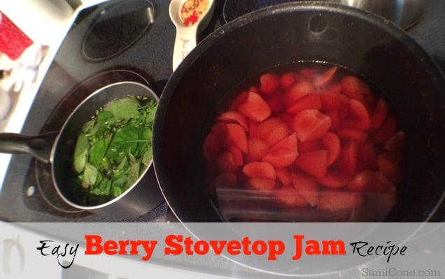 Easy Berry Stovetop Jam Recipe