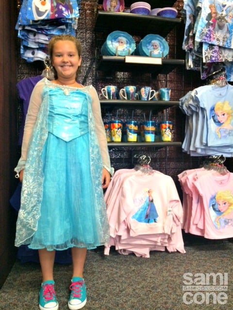 disney-frozen-elsa-dress-hollywood-studios
