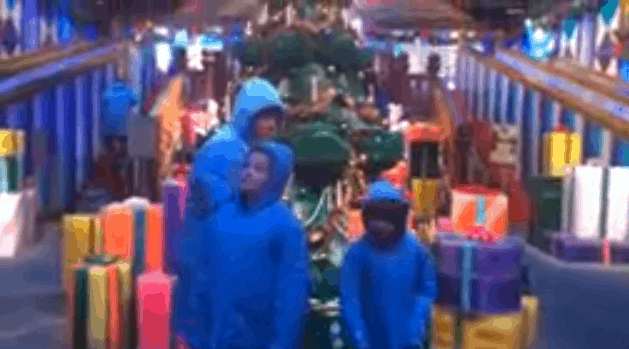 The Daily Dash: November 27 2014 {Opryland ICE}