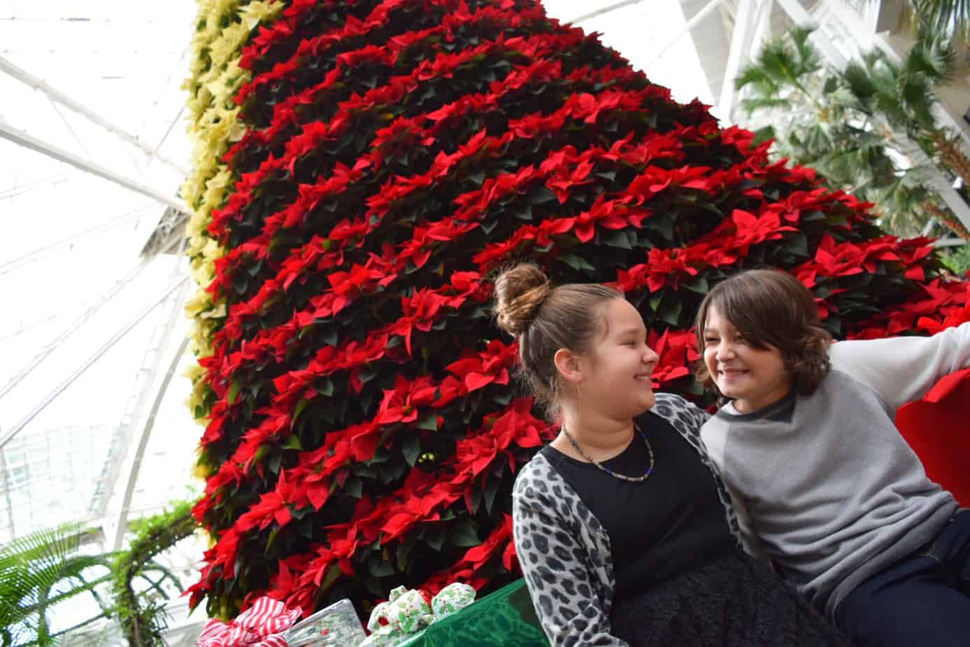 Gaylord Opryland Cyber Monday Christmas Deal!