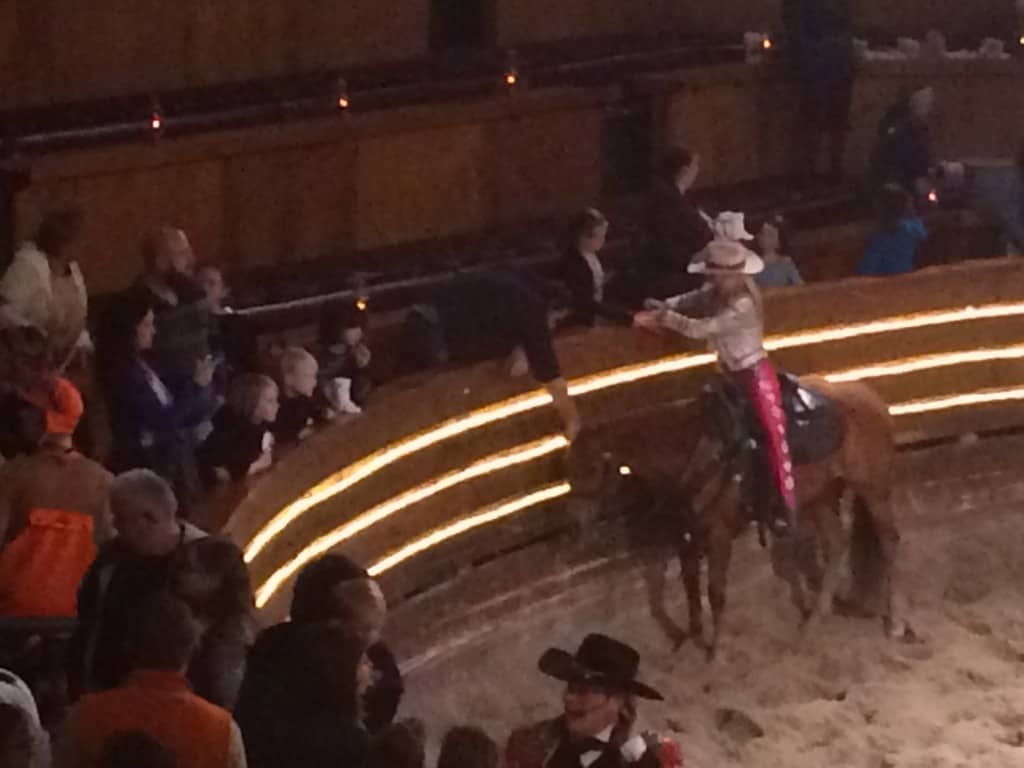 dixie stampede horse