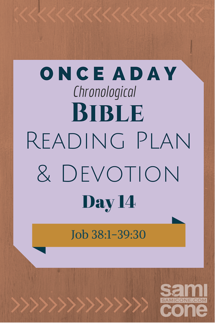 Mighty God: Once A Day Chronological Bible Reading Plan & Devotion Day 14