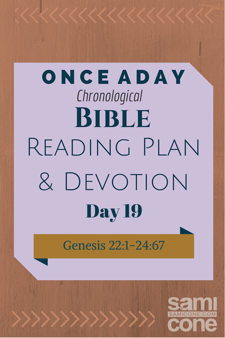 “We”: Once A Day Chronological Bible Reading Plan & Devotion Day 19