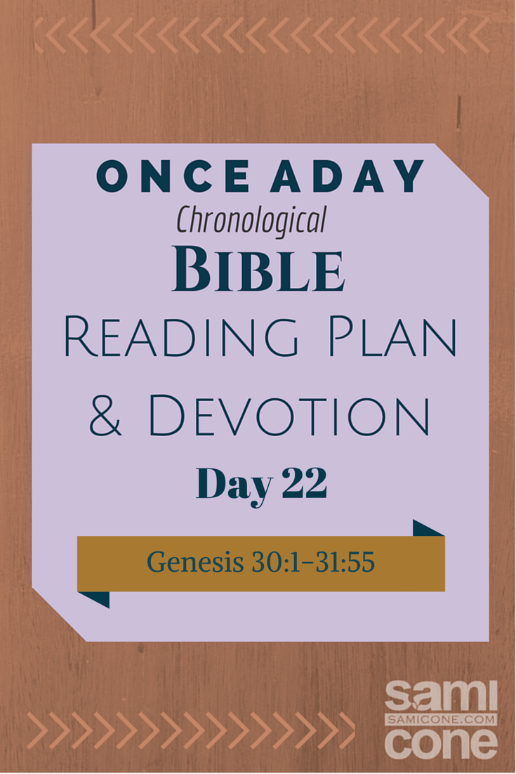 The Mizpah Emotional Bond: Once A Day Chronological Bible Reading Plan & Devotion Day 22