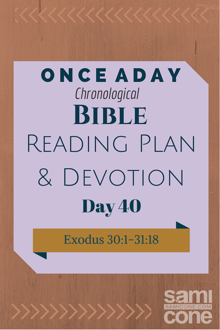 Meet with God: Once A Day Chronological Bible Reading Plan & Devotion Day 40