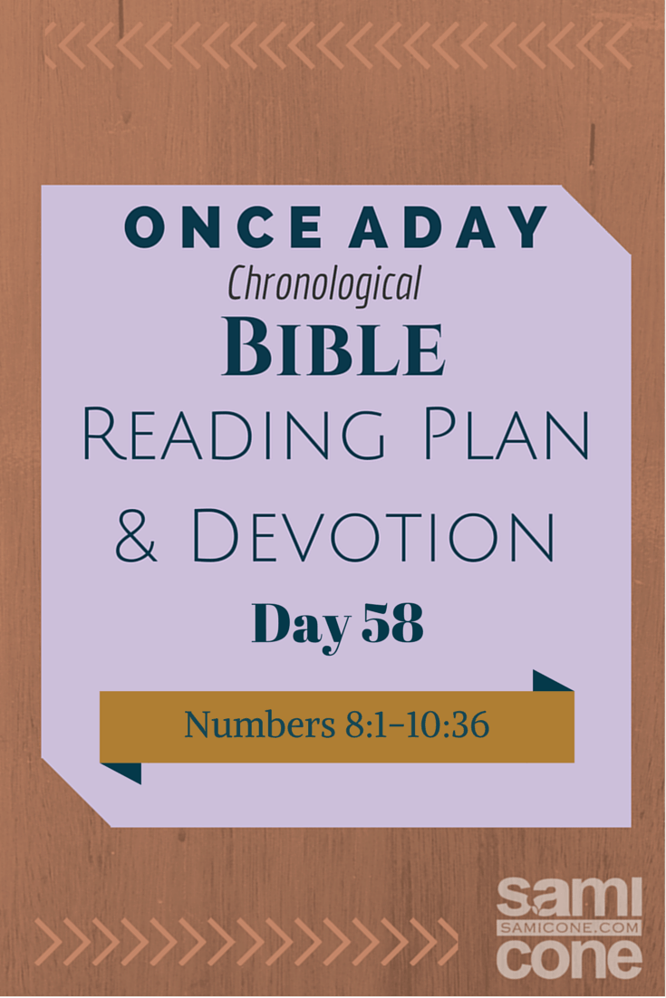 Once A Day Bible Reading Plan & Devotion: Day 58