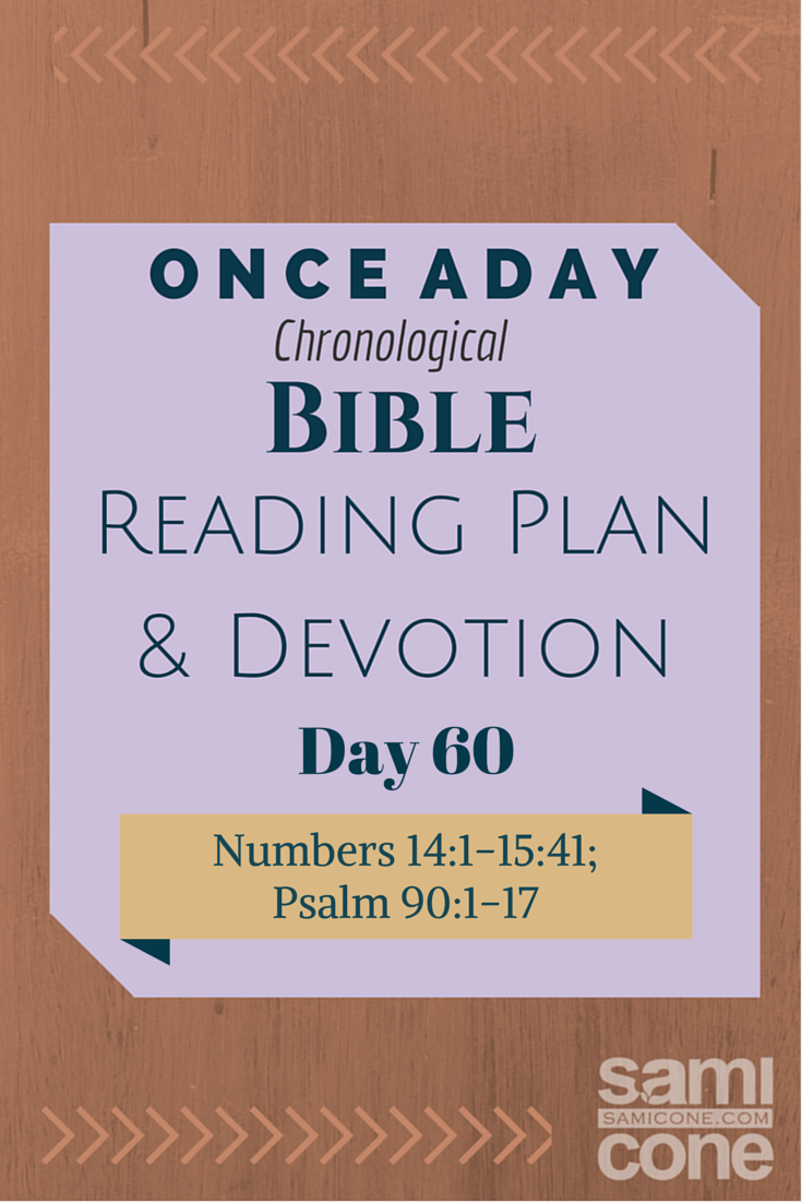 Once A Day Bible Reading Plan & Devotion: Day 60