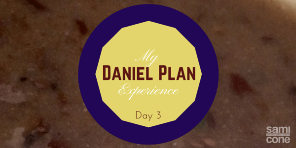 My Daniel Plan Experience: Day 3