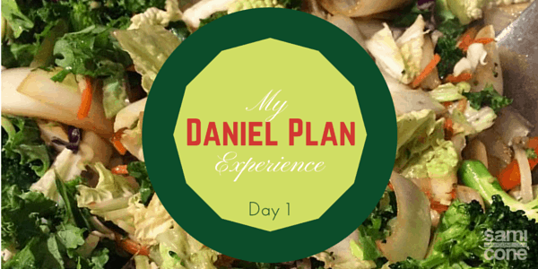 My Daniel Plan Experience: Day 1