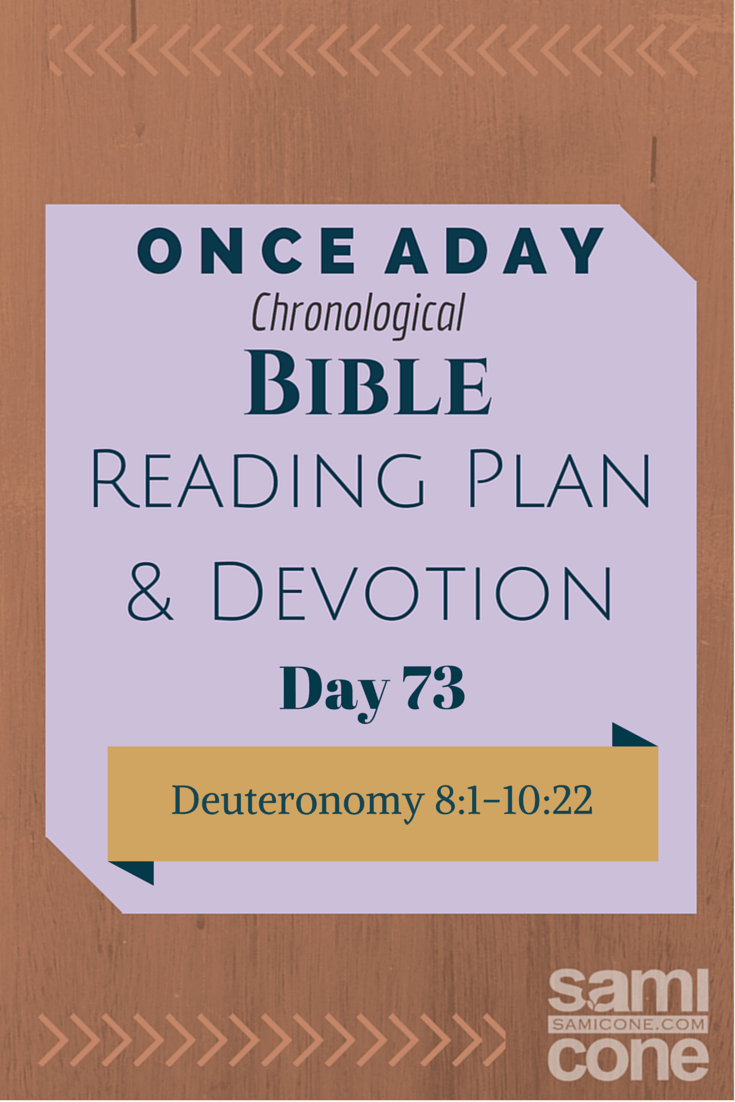 Once A Day Bible Reading Plan & Devotion: Day 73