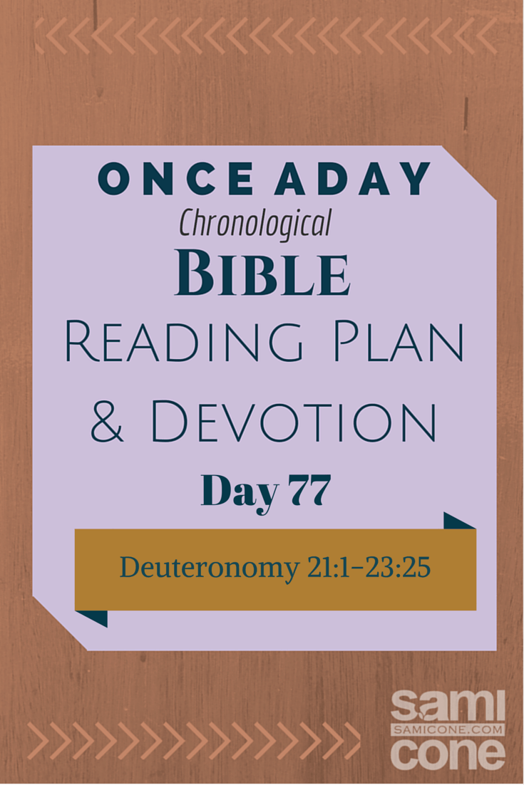 Once A Day Bible Reading Plan & Devotion: Day 77
