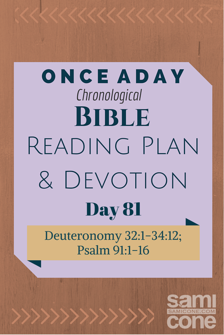 Once A Day Bible Reading Plan & Devotion: Day 81