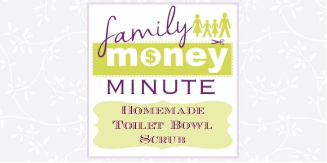 Homemade Toilet Bowl Scrub