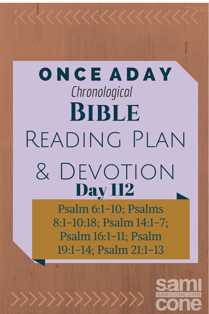 Once A Day Bible Reading Plan & Devotion: Day 112