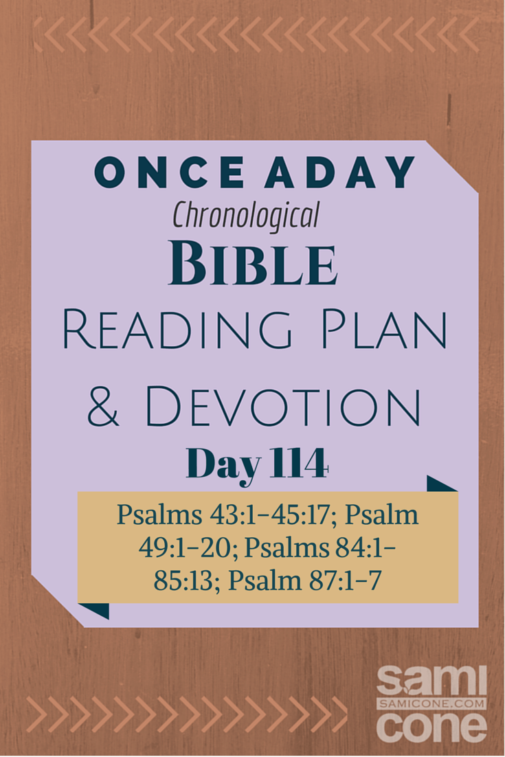 Once A Day Bible Reading Plan & Devotion: Day 114