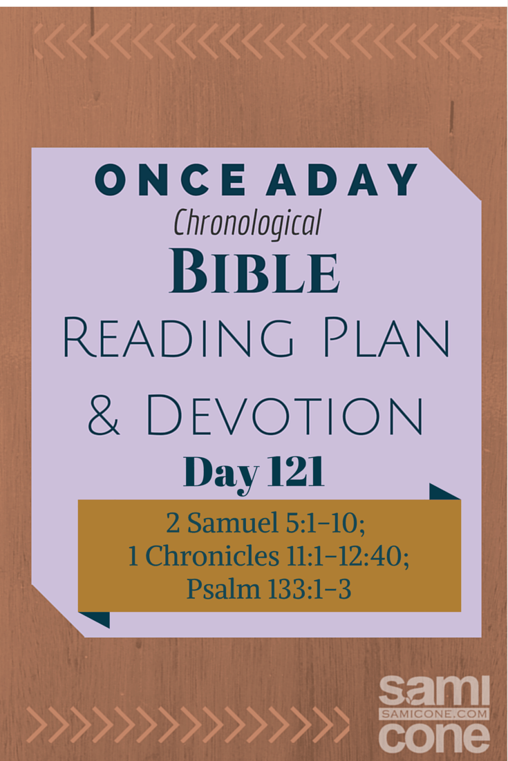 Once A Day Bible Reading Plan & Devotion: Day 121