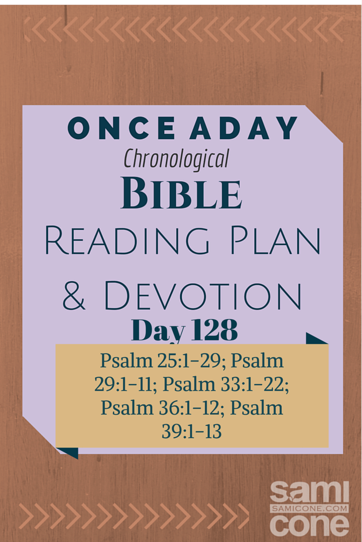 Once A Day Bible Reading Plan & Devotion: Day 128