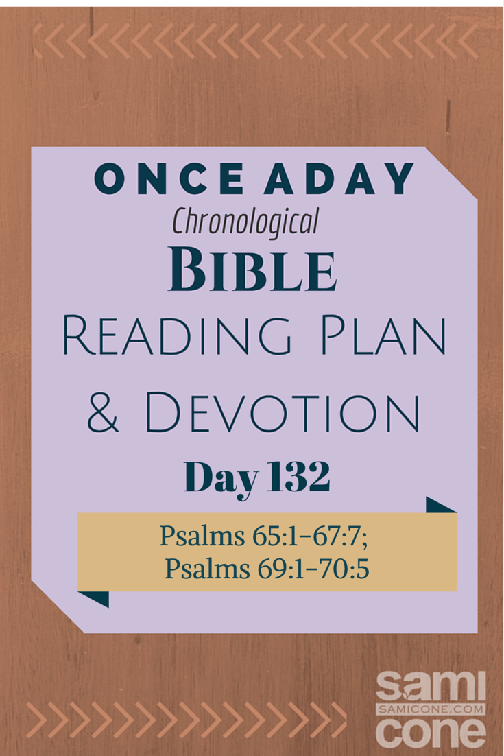 Once A Day Bible Reading Plan & Devotion: Day 132