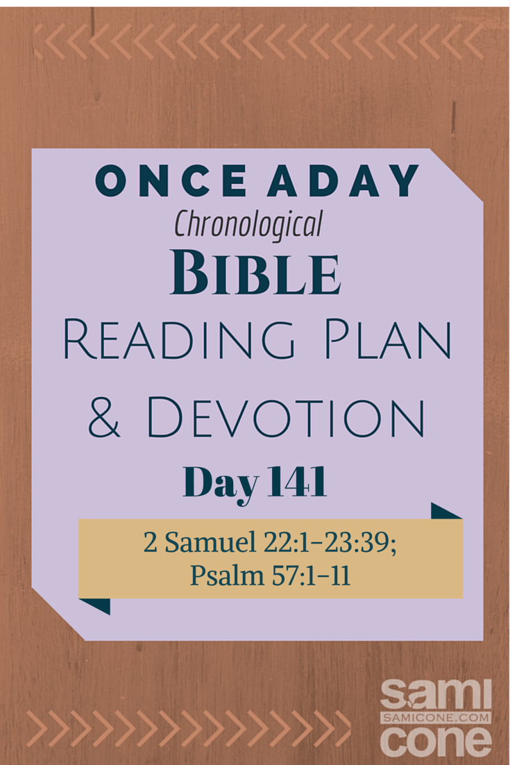 Once A Day Bible Reading Plan & Devotion: Day 141