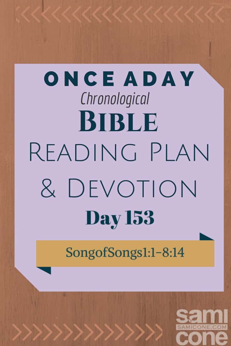 Once A Day Bible Reading Plan & Devotion: Day 153