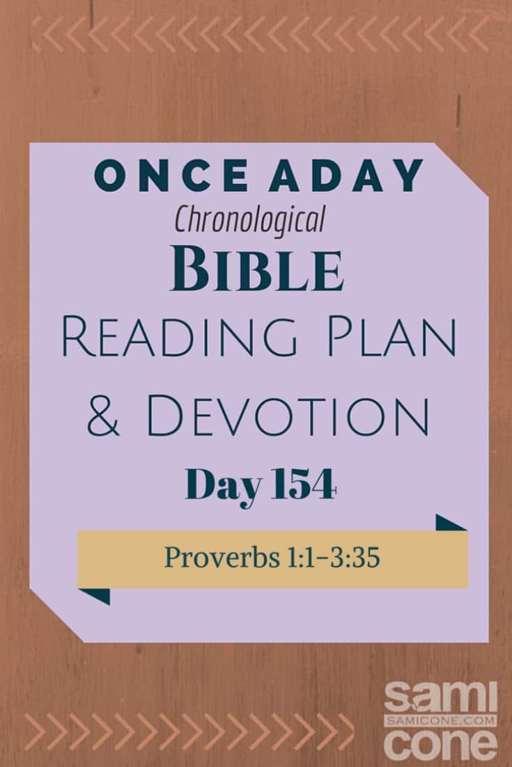 Once A Day Bible Reading Plan & Devotion: Day 154