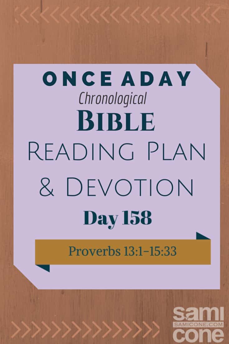 Once A Day Bible Reading Plan & Devotion: Day 158