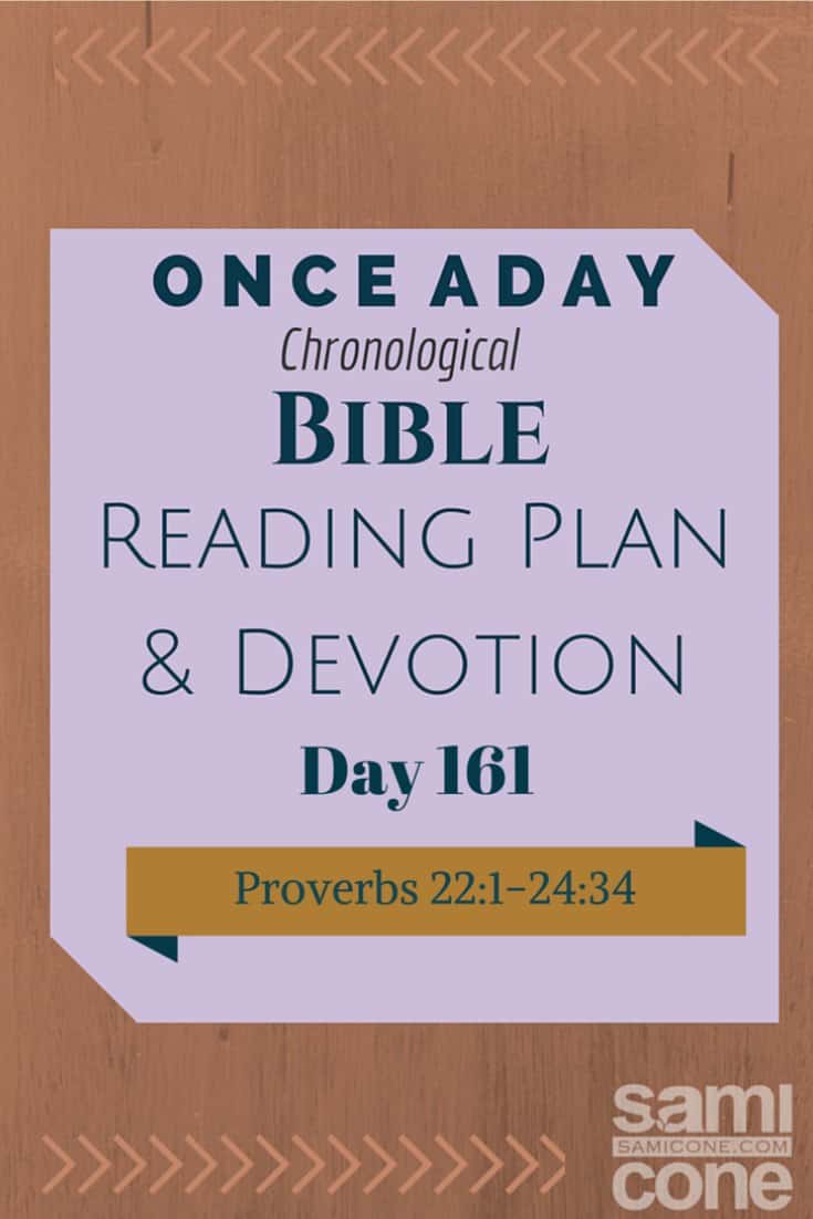 Once A Day Bible Reading Plan & Devotion: Day 161
