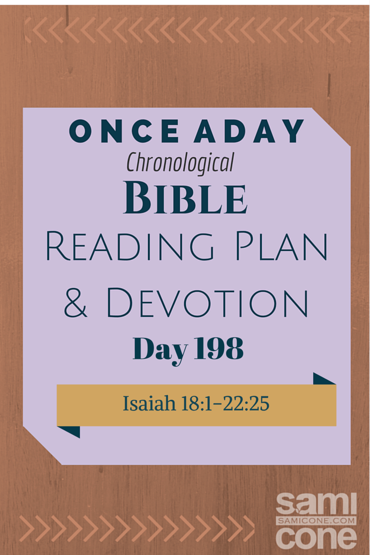 Once A Day Bible Reading Plan & Devotion: Day 198