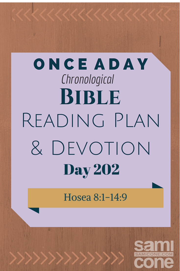 Once A Day Bible Reading Plan & Devotion: Day 202