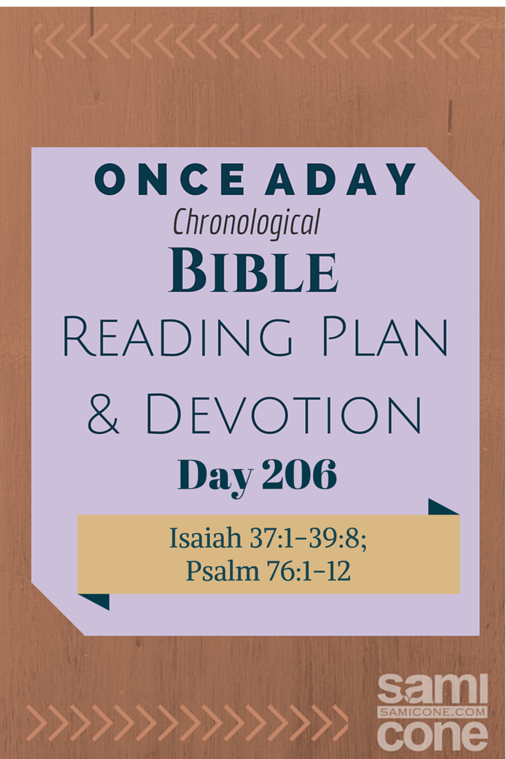 Once A Day Bible Reading Plan & Devotion: Day 206