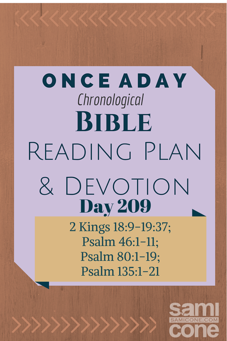 Once A Day Bible Reading Plan & Devotion: Day 209