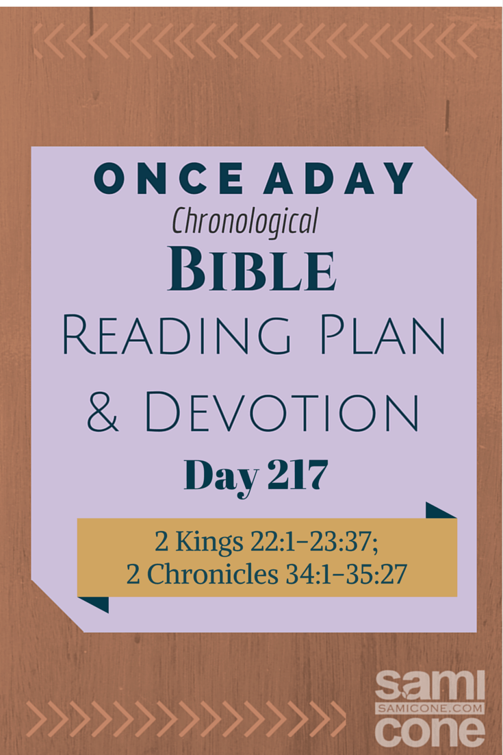 Once A Day Bible Reading Plan & Devotion: Day 217