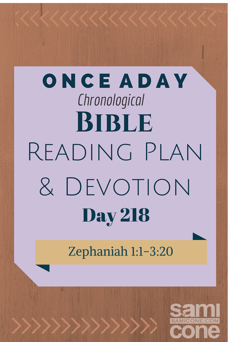 Once A Day Bible Reading Plan & Devotion: Day 218