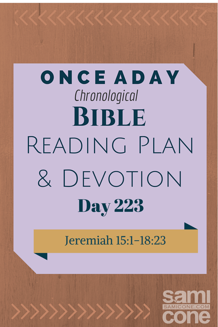 Once A Day Bible Reading Plan & Devotion: Day 223