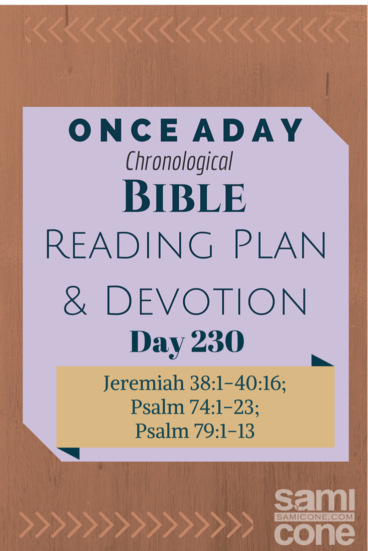 Once A Day Bible Reading Plan & Devotion: Day 230