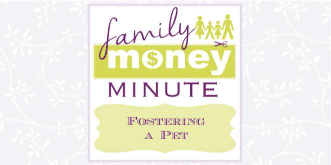 Fostering a Pet