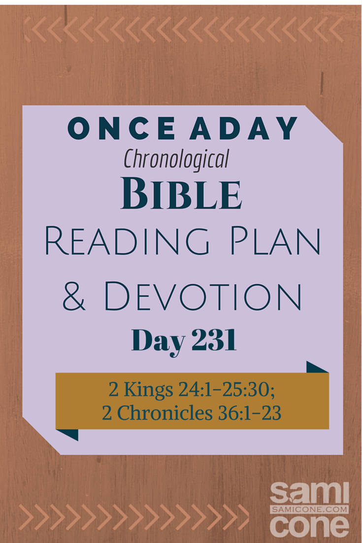 Once A Day Bible Reading Plan & Devotion: Day 231