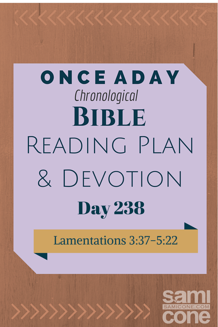 Once A Day Bible Reading Plan & Devotion: Day 238