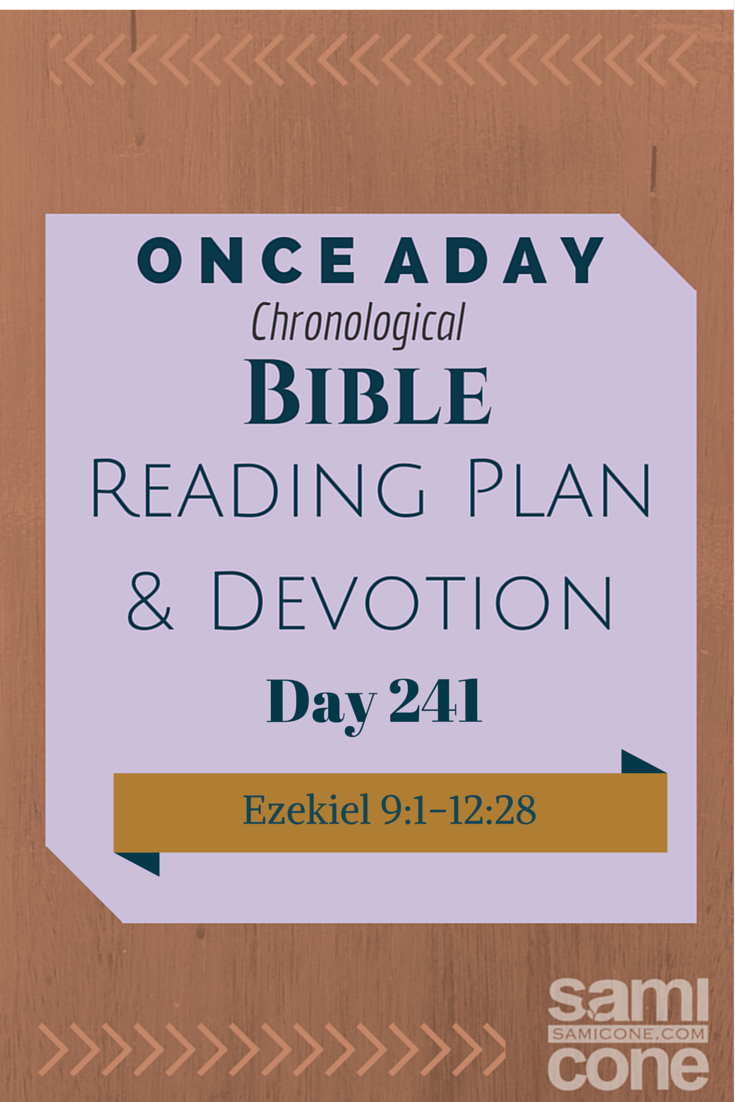 Once A Day Bible Reading Plan & Devotion: Day 241
