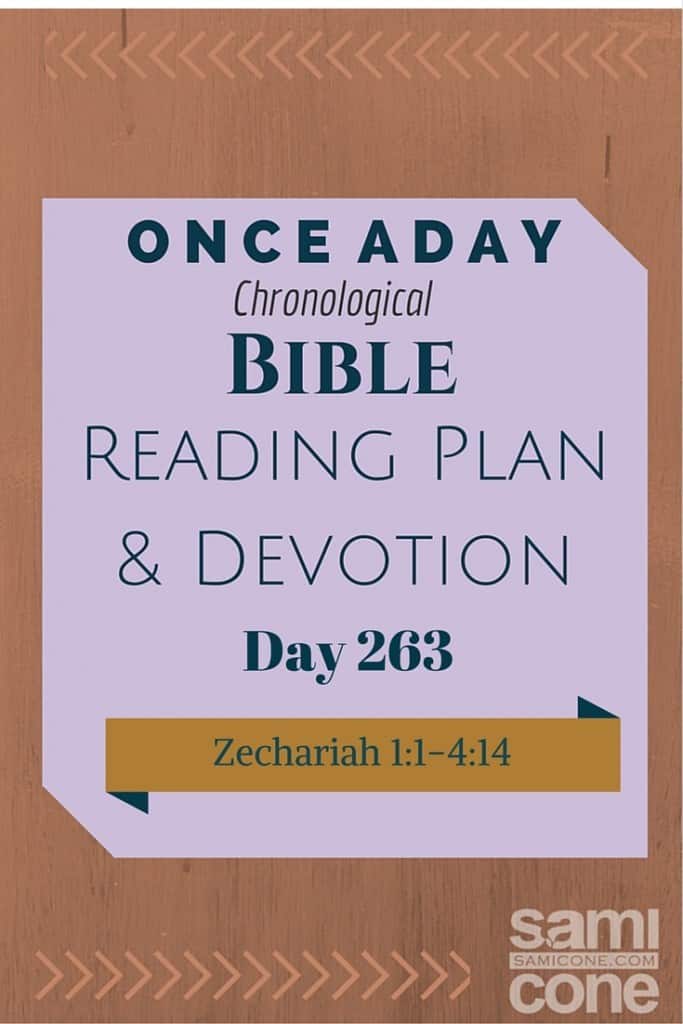 Once A Day Bible Reading Plan & Devotion Day 263