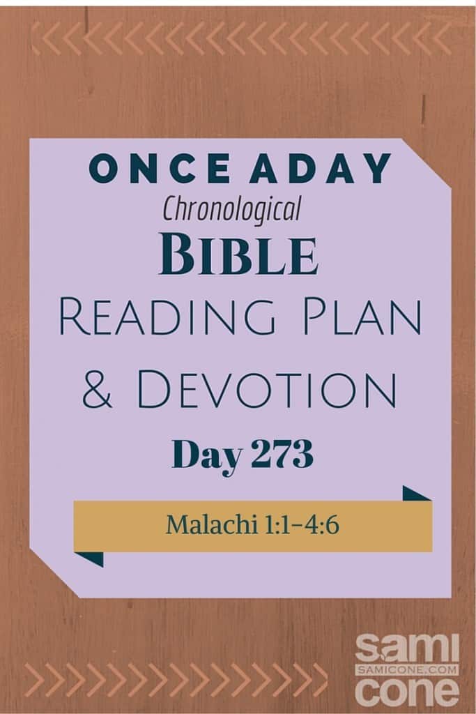 Once A Day Bible Reading Plan & Devotion Day 273