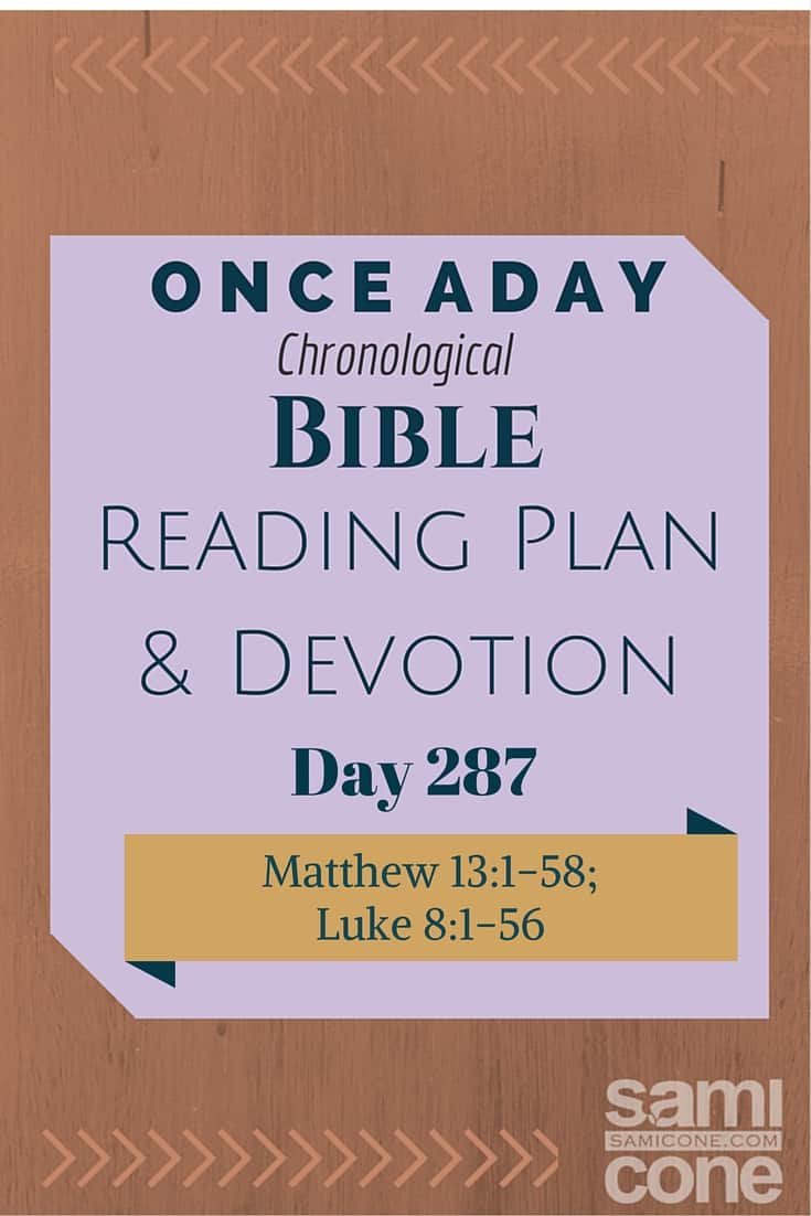 Once A Day Bible Reading Plan & Devotion: Day 287